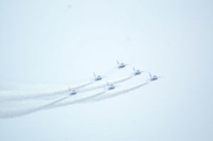 b1