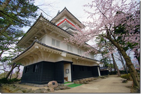 SONY DSC