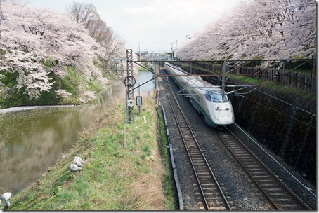 SONY DSC