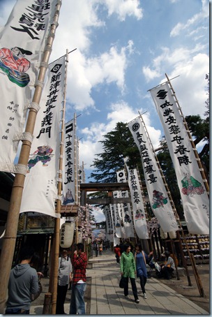 SONY DSC